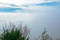 Top view with a little bush in front and a clear blue sky with clouds in the background