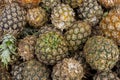 Top view of locally harvested miniature pineapples for sale at a sidewalk stand in Tagaytay, Cavite, Philippines