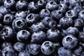 Top view of lots of fresh blueberries Royalty Free Stock Photo