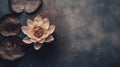 Top view of lotus flowers on a dark moody background for zen inspired spa or wellness treatments, AI generated