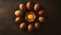 Top view macro shot of eggs with one chicken egg broken with yolk Royalty Free Stock Photo