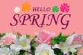 Top view, Made design hello spring written on it with flower isolated on pastel magenta background for design or stock photo,