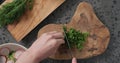 Top view man hands chop fresh parsley on concrete countertop Royalty Free Stock Photo