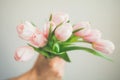 Top view of man`s hand holding bouquet of gentle pink tulips on white background