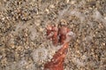 Top view of man standing bare feet on beach. Texture of bottom, leg and foot of man drowning with sweeping stone below in sea.