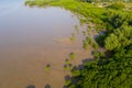 Top view mangrove forest Royalty Free Stock Photo