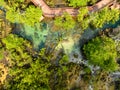 Top view Mangrove forest and river landscape at Thapom Klong Song Nam, Krabi Thailand, Beautiful root in mangrove forest with Royalty Free Stock Photo