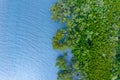 Top view mangrove forest trees with beautiful sea surface and small waves,Ecosystem and healthy environment concept and nature Royalty Free Stock Photo
