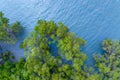 Top view mangrove forest trees with beautiful sea surface and small waves,Ecosystem and healthy environment concept and nature Royalty Free Stock Photo