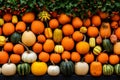 Top view many diversity vegetables whole orange green different pumpkin shapes Halloween background concept lantern