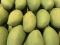 Top view of many fresh mangos in the supermarket. Green mango background of Thailand