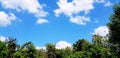 Top view of many green and palm or coconut tree with clear blue sky and white cloud with copy space on sunny day Royalty Free Stock Photo