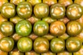 Top view of many green tomatoes of the kumato variety, with drops of water and studio lighting Royalty Free Stock Photo