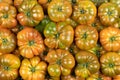 Top view of many green tomatoes of the raf type, with water drops and studio lighting Royalty Free Stock Photo