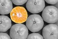 Top view of many orange on wooden background have colorful piece was sliced see the seed inside and around