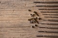 Top view of Many sizes screwdriver and screw nut on the wood background and  copy space Royalty Free Stock Photo