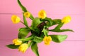 Top view of many small vivid yellow tulip flowers and green leaves in a vase on a pink painted table , beautiful indoor floral bac Royalty Free Stock Photo