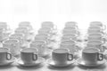 Top view on many stacked in rows of empty clean white cups for t Royalty Free Stock Photo