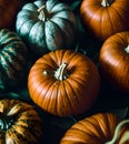 Vibrant colored pumpkins top view Royalty Free Stock Photo