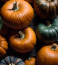 Vibrant colored pumpkins top view Royalty Free Stock Photo