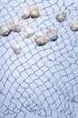 Vertical image of fishing net and collection of seashells on the bright blue background