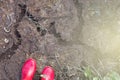 Top view of mice burrows underground. Red rubber boots peek out slightly while standing on the ground