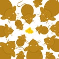 Top View Mice or Rat With Peanut Butte Cartoon Vector