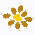 Top View Mice or Rat With Peanut Butte Cartoon Vector