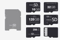 Top View Micro SD to SD Memory Card Adapter. Memory Chip Isolate