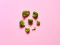 Top view of a minimalistic greent cauliflower over a pink background