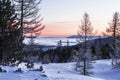 Top view of the misty valley, snow-covered trees and mountains at dawn. Winter, Altai Republic