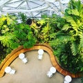 Top view of modern greenhouse architecture
