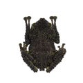 Mossy frog on white background