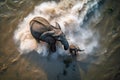 Top view of mother and baby elephant bathing in the River. amazing wild life. Generative Ai