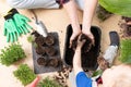 Top view of a mother and child preparing soil for seeds. Hobbies at home and learning botany