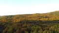 Top view of the mountain forest in autumn. Shot. Beautiful orange and red autumn forest, many trees on the orange hills Royalty Free Stock Photo