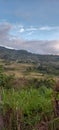 top view of mountains, ricefield and clouds Royalty Free Stock Photo