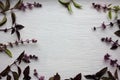 Natural floral frame from fresh purple basil leaves and flowers on a white wooden background with copy space. Top view. Royalty Free Stock Photo