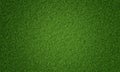 Top view of natural fresh green grassy background. Nature and wallpaper concept. 3D illustration rendering Royalty Free Stock Photo