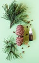 concept of natural cosmetics, pine cones with nuts and a bottle of oil on a green background