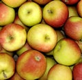 Nature organic fresh apples