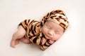 Top view of a newborn baby girl sleeping in a tiger jumpsuit and a brindle cap Royalty Free Stock Photo