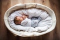 A top view of a newborn baby at home, sleeping in a moses basket. Royalty Free Stock Photo
