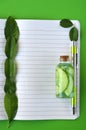 Top view of notebook page with copy space, cucumber slices in a glass vial and fresh leaves on lime green background