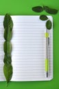 Top view of notebook page with copy space, cucumber slices in a glass vial and fresh leaves on lime green background