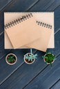 top view of notebooks with blank covers and succulents in pots on wooden Royalty Free Stock Photo