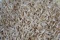 Oats grains close up, natural texture background, top view Royalty Free Stock Photo