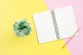 Top view office desk with open mock up notebooks and pencil and plant on pastel color background. Royalty Free Stock Photo