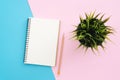 Top view office desk with open mock up notebooks and pencil and plant on pastel color background. Royalty Free Stock Photo