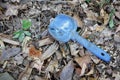 Top view of an old blue childrens scoop on dry foliage in a forest, selective focus